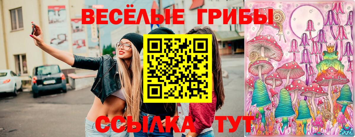 цена наркотик  Вход с VPN  Ливны  Галлюциногенные грибы мухоморы 